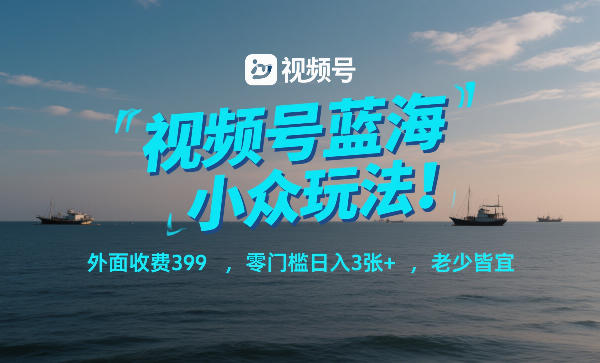 视频号蓝海小众玩法！外面收费399，零门槛日入3张+，老少皆宜-董叔项目网