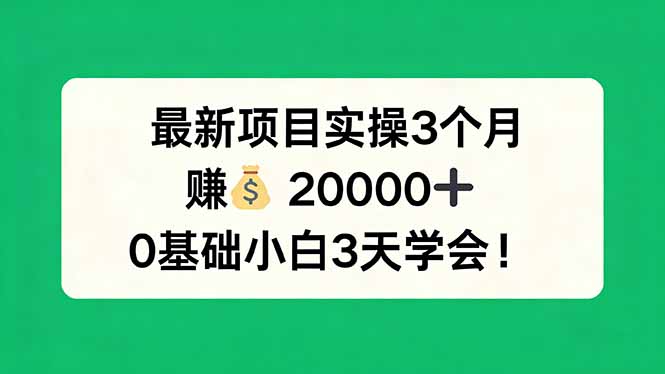 最新项目实操3个月，赚钱20000+，0基础小白3天学会！-董叔项目网