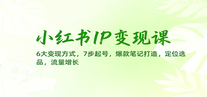 小红书IP变现课：6大变现方式，7步起号，爆款笔记打造，定位选品，流量增长-董叔项目网