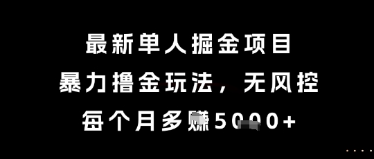 最新单人掘金项目，暴力撸金玩法，无风控，每个月多挣5k+【揭秘】-董叔项目网