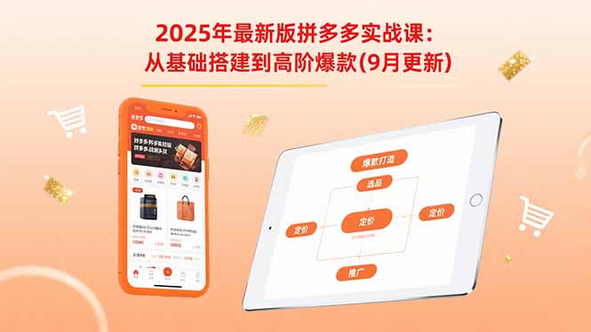 2025年最新版拼多多实战课:从基础搭建到高阶爆款(9月更新-董叔项目网