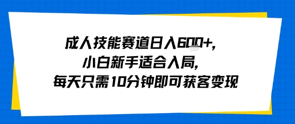 成人技能赛道日入多张，小白新手适合入局，每天只需10分钟即可获客变现-董叔项目网