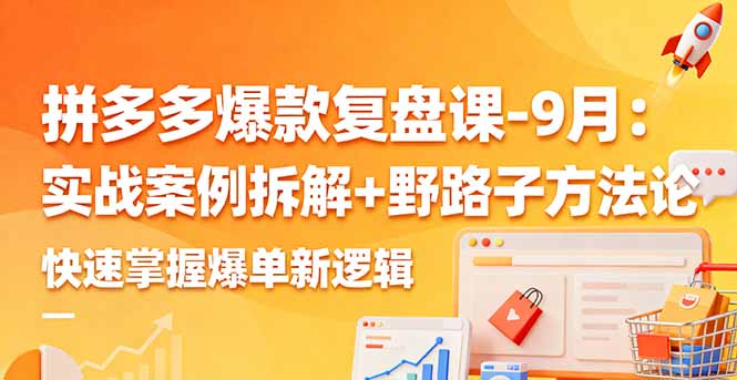 拼多多爆款复盘课-9月:实战案例拆解+野路子方法论,快速掌握爆单新逻辑-董叔项目网