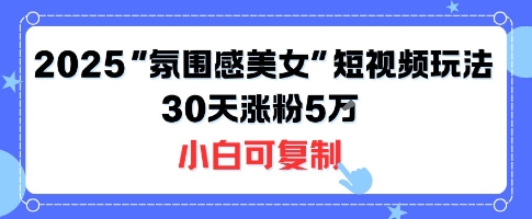 不露脸也能火!2025“氛围感美女”短视频玩法,30天涨粉5W小白可复制-董叔项目网