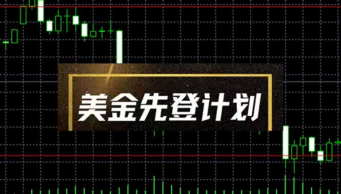 美金先登计划(2025黑马项目-董叔项目网