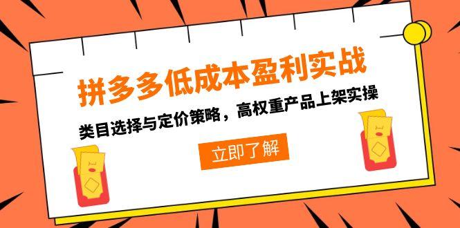 拼多多低成本盈利实战，类目选择与定价策略，高权重产品上架实操-董叔项目网