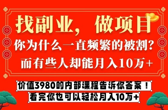 价值3980的网创内部课程，告诉你互联网创业月入10个W的秘密【揭秘】-董叔项目网