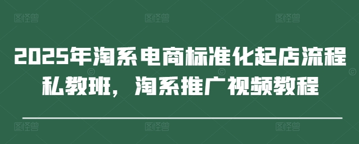 2025年淘系电商标准化起店流程私教班，淘系推广视频教程-董叔项目网