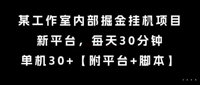 某工作室内部掘金挂G项目，新平台，每天30分钟，单机30+【揭秘】-董叔项目网
