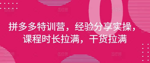 拼多多特训营，经验分享实操，课程时长拉满，干货拉满(更新25年4月)-董叔项目网
