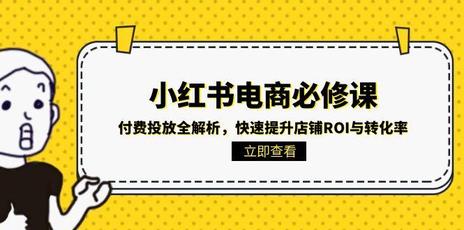 小红书电商必修课：付费投放全解析，快速提升店铺ROI与转化率-董叔项目网