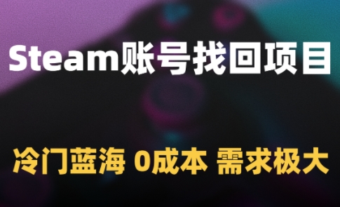 Steam账号找回项目，冷门蓝海，0成本，需求极大-董叔项目网