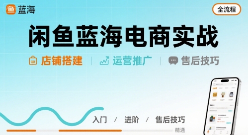 闲鱼蓝海电商实战，店铺搭建运营售后全流程-董叔项目网