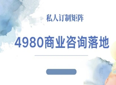 4980商业咨询师落地课程-ip运营高客单教程-董叔项目网