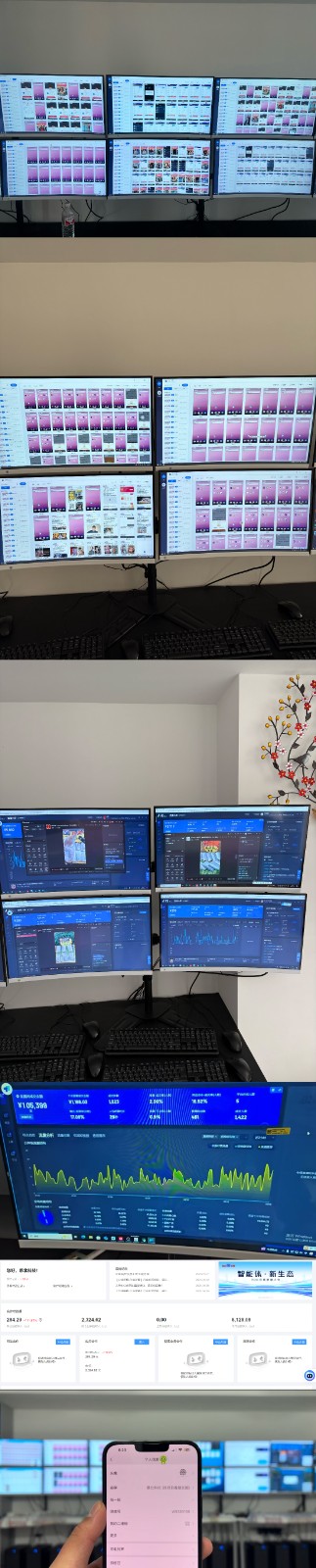 实操项目合集 挂机类型 直播类型 轻资产创业类型 课程分享各项目介绍和原理-董叔项目网