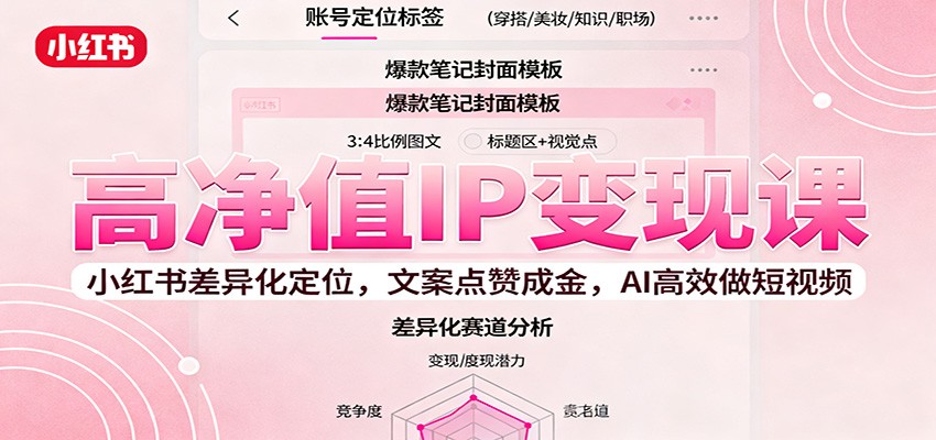 高净值IP变现课：小红书差异化定位，文案点赞成金， AI高效做短视频-董叔项目网