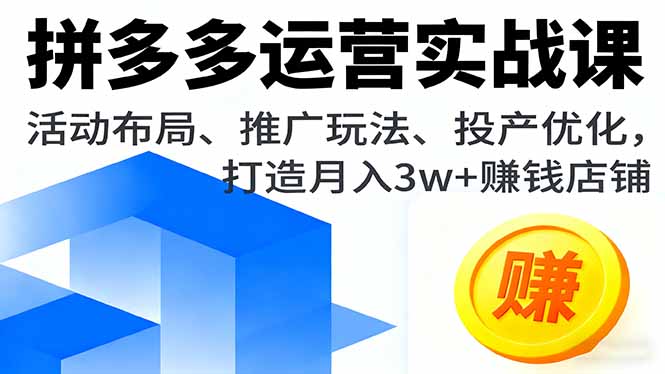 拼多多运营实战课，活动布局、推广玩法、投产优化，打造月入3w+赚钱店铺-董叔项目网