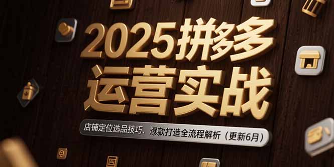 2025拼多多运营实战：店铺定位选品技巧，爆款打造全流程解析(更新6月-董叔项目网