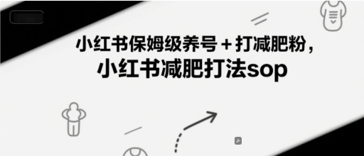 小红书保姆级养号+打减肥粉，小红书减肥打法sop-董叔项目网