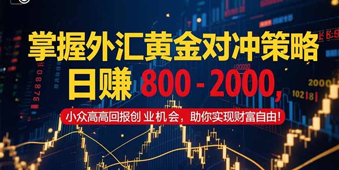 掌握外汇黄金对冲策略，日赚 800 - 2000，小众高回报创业机会，助你实...-董叔项目网