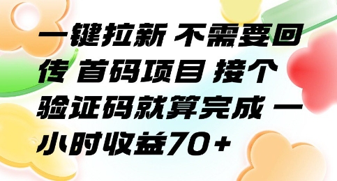 一键拉新 不需要回传 首码项目 接个验证码就算完成 一小时收益70+【揭秘】-董叔项目网