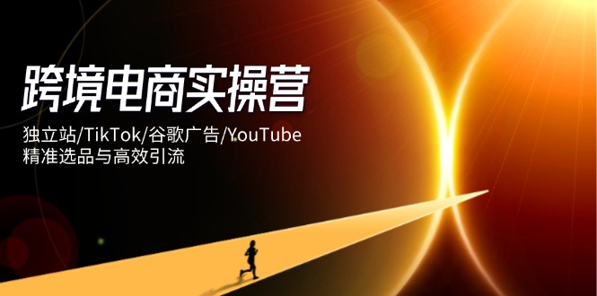 跨境电商实操营：独立站/TikTok/谷歌广告/YouTube，精准选品与高效引流-董叔项目网
