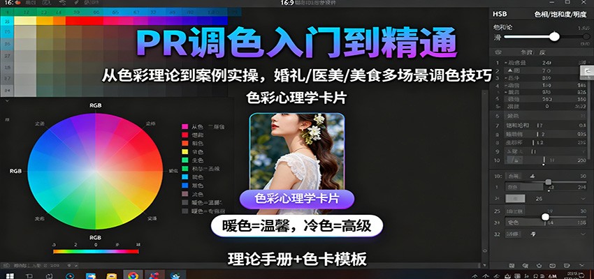 PR调色入门到精通：从色彩理论到案例实操，婚礼/医美/美食多场景调色技巧-董叔项目网