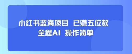 小红书蓝海项目，全程AI，操作简单，已挣五位数-董叔项目网