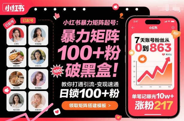 小红书暴力矩阵起号，教你打通引流-变现速通，日锁100+粉，破流量黑盒-董叔项目网