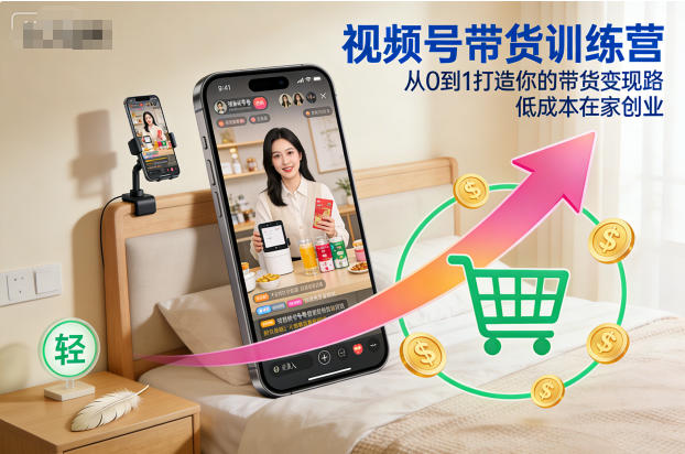 视频号带货训练营,从0到1打造你的带货变现路,低成本在家创业-董叔项目网