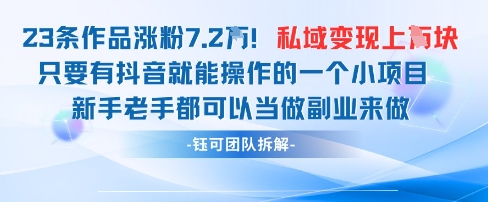 抖音私域项目23条作品涨粉7.2W，私域变现1W-董叔项目网