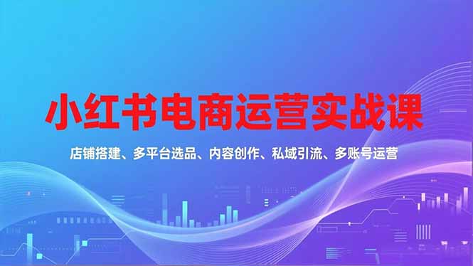 小红书电商运营实战课,店铺搭建、多平台选品、内容创作、私域引流、多账号运营等玩法-董叔项目网