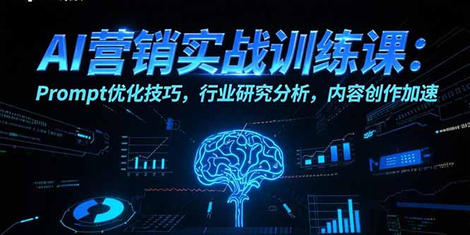AI营销实战训练课：Prompt优化技巧，行业研究分析，内容创作加速-董叔项目网