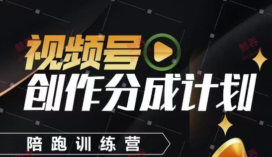 视频号创作分成计划陪跑训练营，手把手教会你如何制作视频，细水长流型项目-董叔项目网