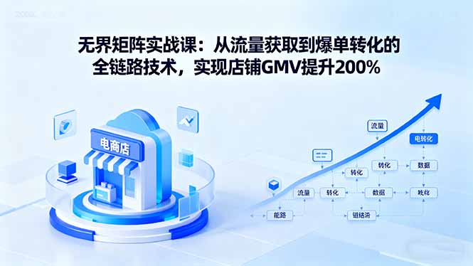 无界矩阵实战课：从流量获取到爆单转化的全链路技术，实现店铺GMV提升200%-董叔项目网