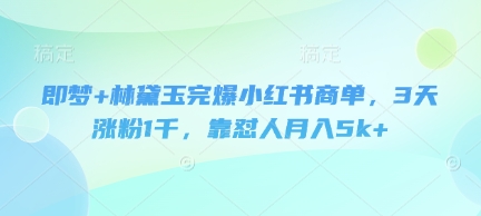 即梦+林黛玉完爆小红书商单,3天涨粉1千,靠怼人月入5k+-董叔项目网