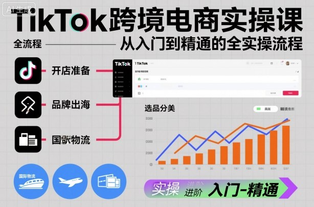 TikTok跨境电商实操课，从入门到精通的全实操流程-董叔项目网