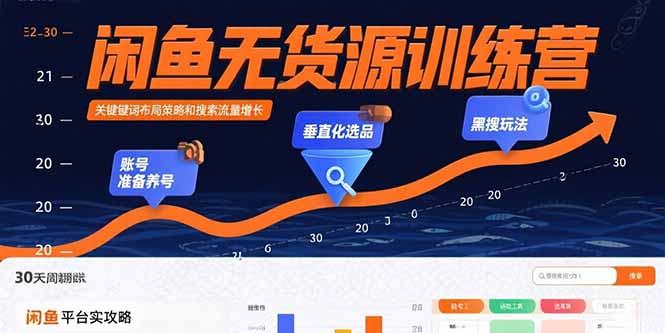 闲鱼无货源训练营：账号准备养号/垂直化选品/黑搜玩法，0基础30天盈利指南-董叔项目网