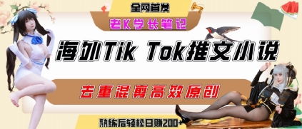 海外tiktok小说推文暴力项目，高停留率，高转化率，上手后一天搞顿饭钱不是问题-董叔项目网