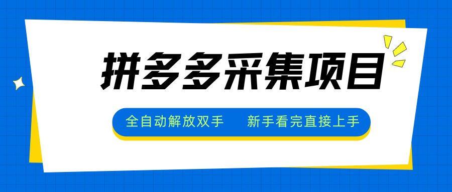 拼多多采集项目,全自动解放双手,单号日入30+-董叔项目网