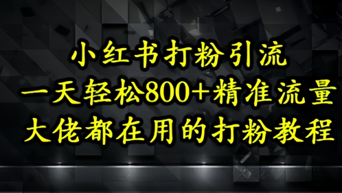 小红书打粉引流，一天轻松500+精准流量，大佬都在用的打粉教程-董叔项目网
