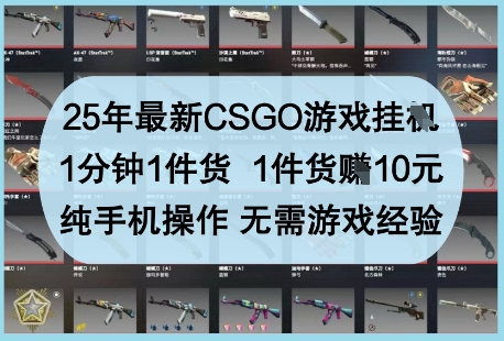 25年最新CSGO游戏挂G，1分钟1件货，1件货挣10元，纯手机操作，无需游戏经验【揭秘】-董叔项目网