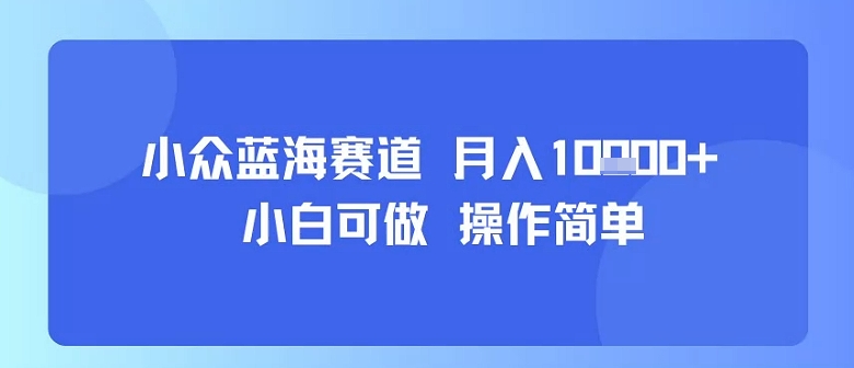 小众蓝海赛道，小白可做，操作简单，每天30分钟，月入1W+-董叔项目网