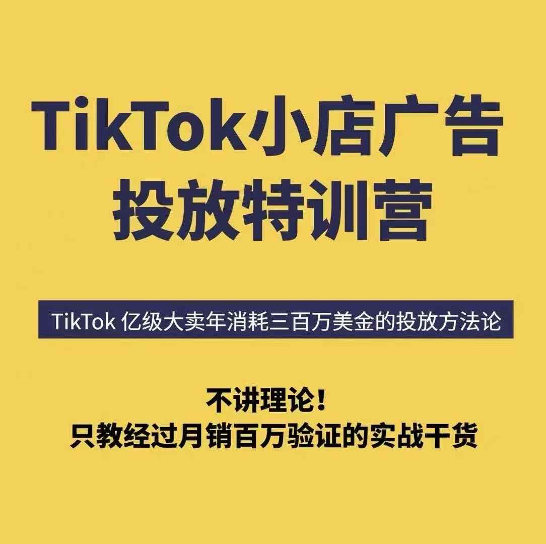 TikTok小店广告投放特训营，6天破局计划专治各种“投不动”，教你经过月销百万验证的实战干货-董叔项目网