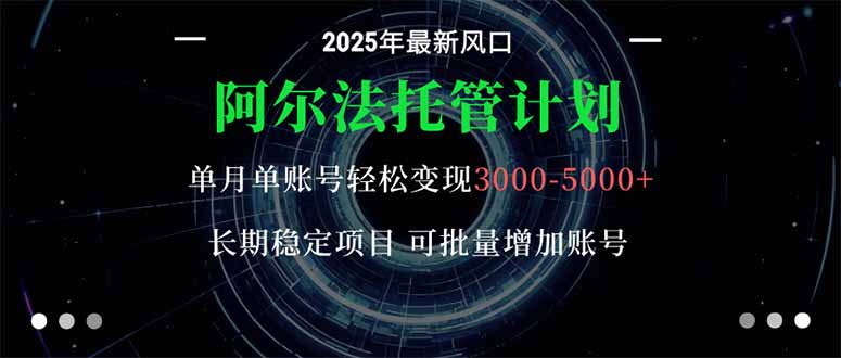 阿尔法托管计划 单账号月入3000-5000,长期稳定项目,新手小白轻松上手。-董叔项目网