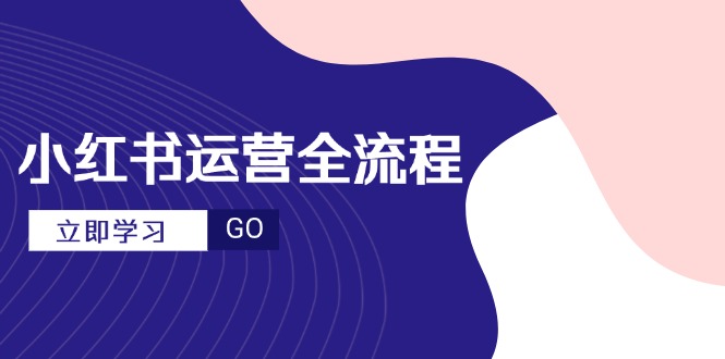 小红书运营全流程,爆款选题文案,视频制作技巧,进阶达人宝典-董叔项目网