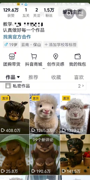 抖音65W博主AI萌宠课程，新赛道流量大，原创+二创，全套课程+提示词-董叔项目网