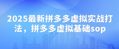 2025最新拼多多虚拟实战打法，拼多多虚拟基础sop-董叔项目网