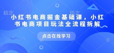 小红书电商掘金课,小红书电商项目玩法全流程拆解(更新5月)-董叔项目网