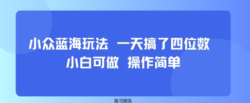 小众蓝海玩法 一天搞了四位数 小白可做 操作简单-董叔项目网